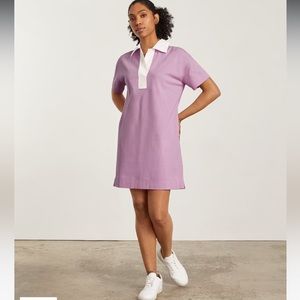 Everlane The Organic Cotton Polo Dress